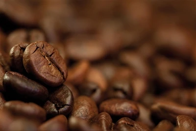 Paraxanthine Vs. Caffeine: Một so sánh khoa học về thế hệ tiếp theo của các t...
