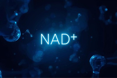NAD+: Chìa khóa để mở khóa năng lượng tế bào, biên giới mới của khoa học chống -